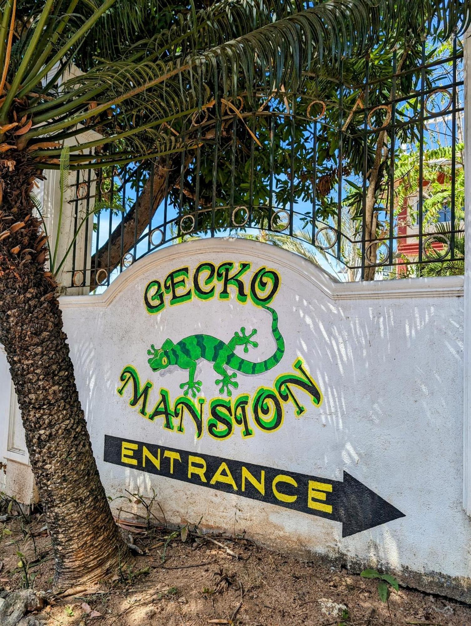Screaming Gecko Hostel バスアンガ エクステリア 写真