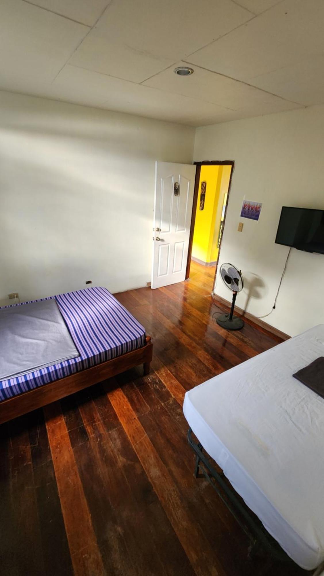 Screaming Gecko Hostel バスアンガ エクステリア 写真