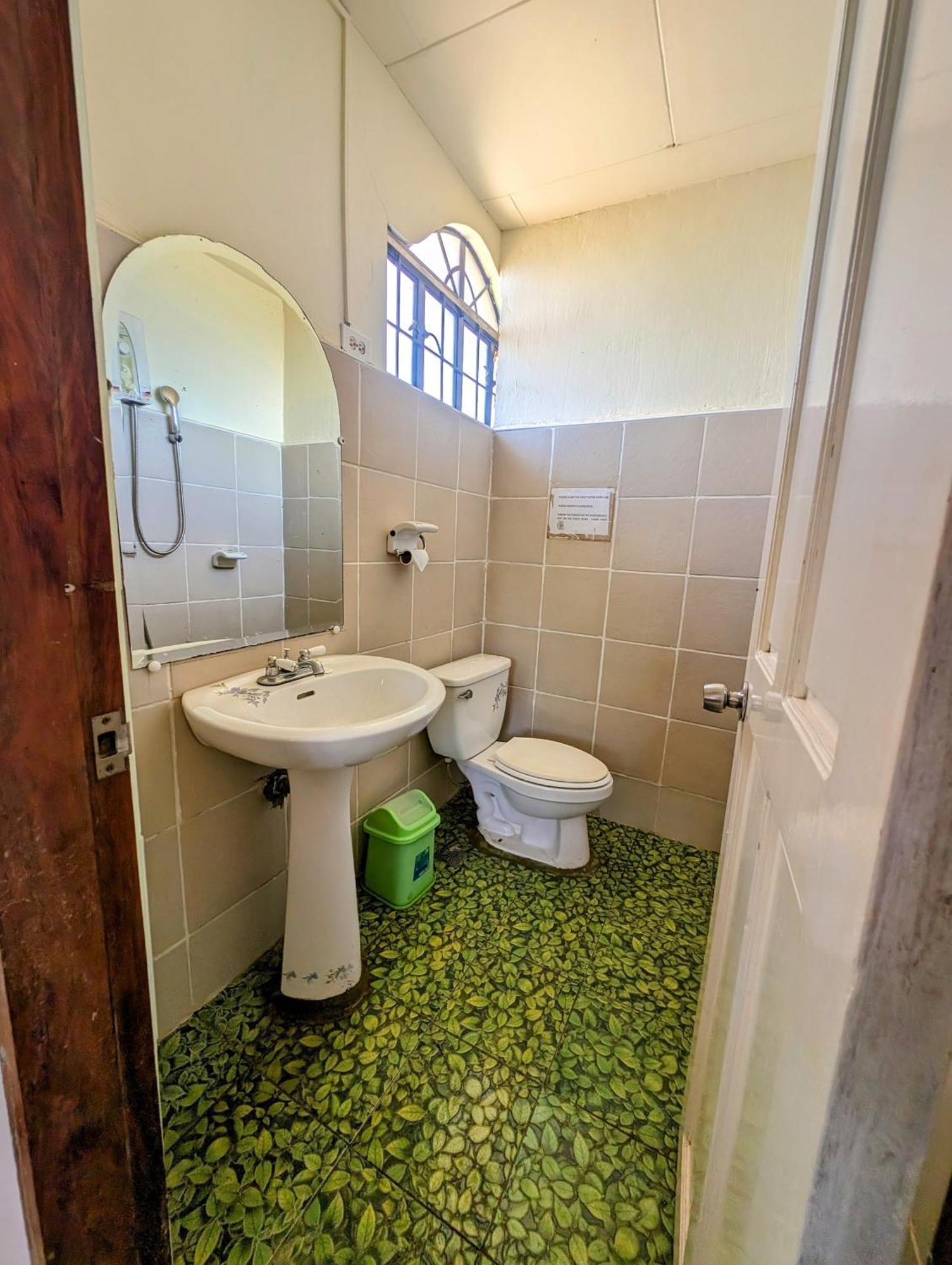 Screaming Gecko Hostel バスアンガ エクステリア 写真