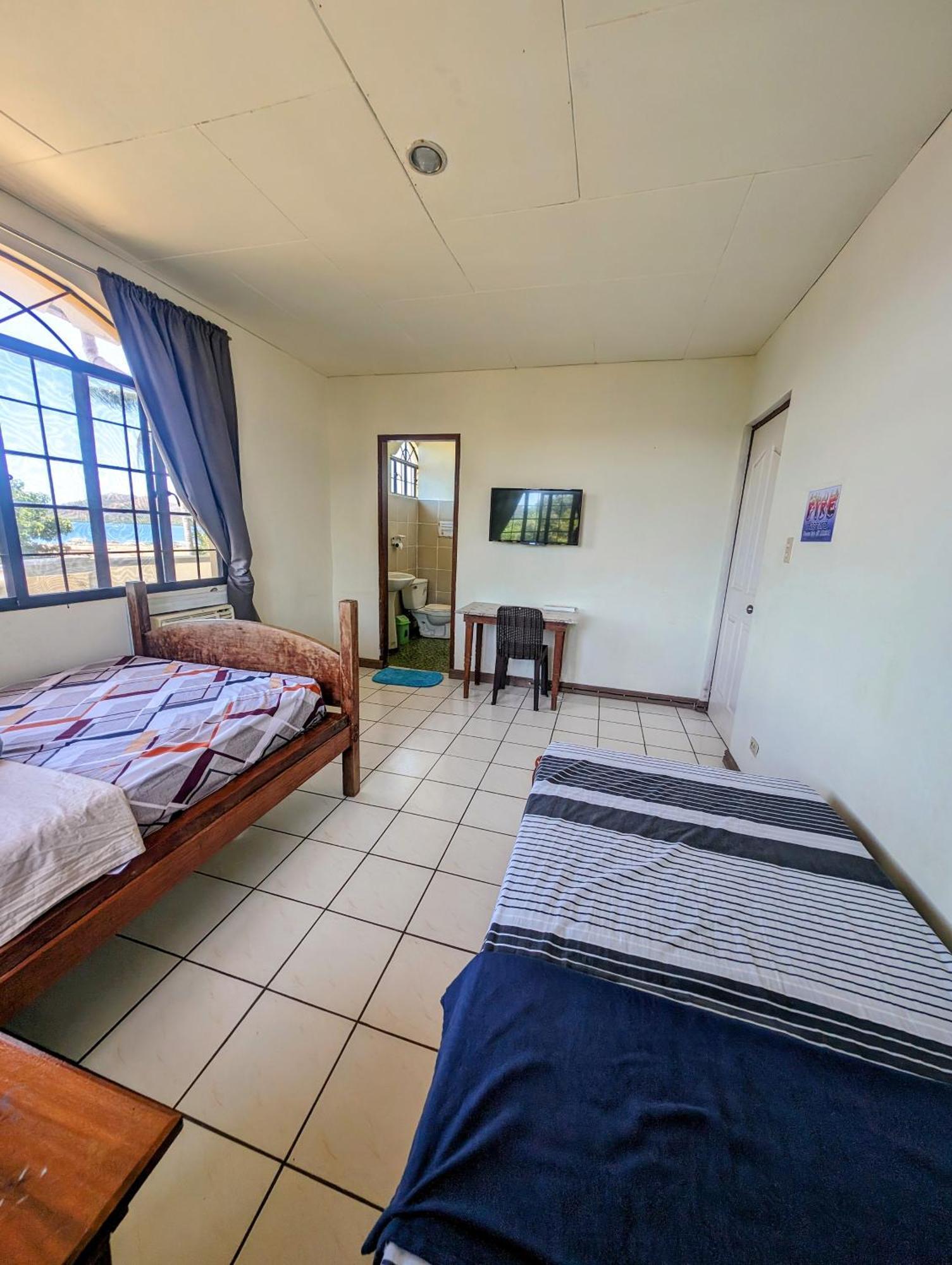 Screaming Gecko Hostel バスアンガ エクステリア 写真