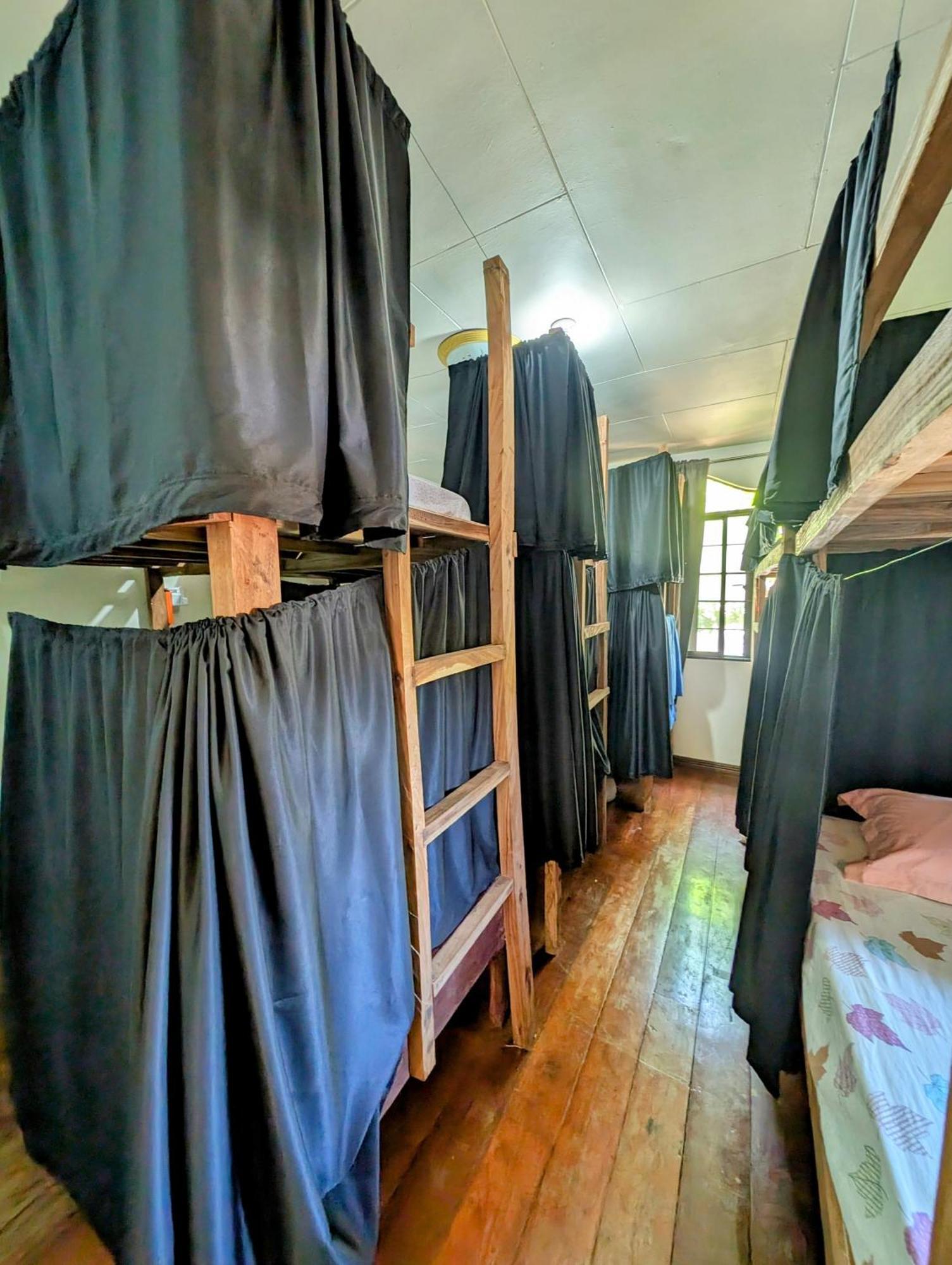 Screaming Gecko Hostel バスアンガ エクステリア 写真