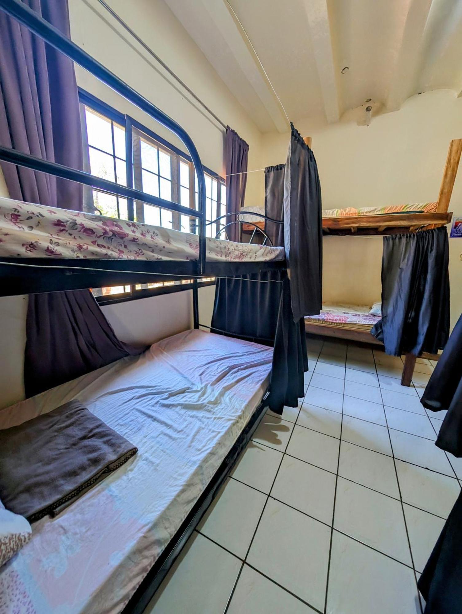 Screaming Gecko Hostel バスアンガ エクステリア 写真