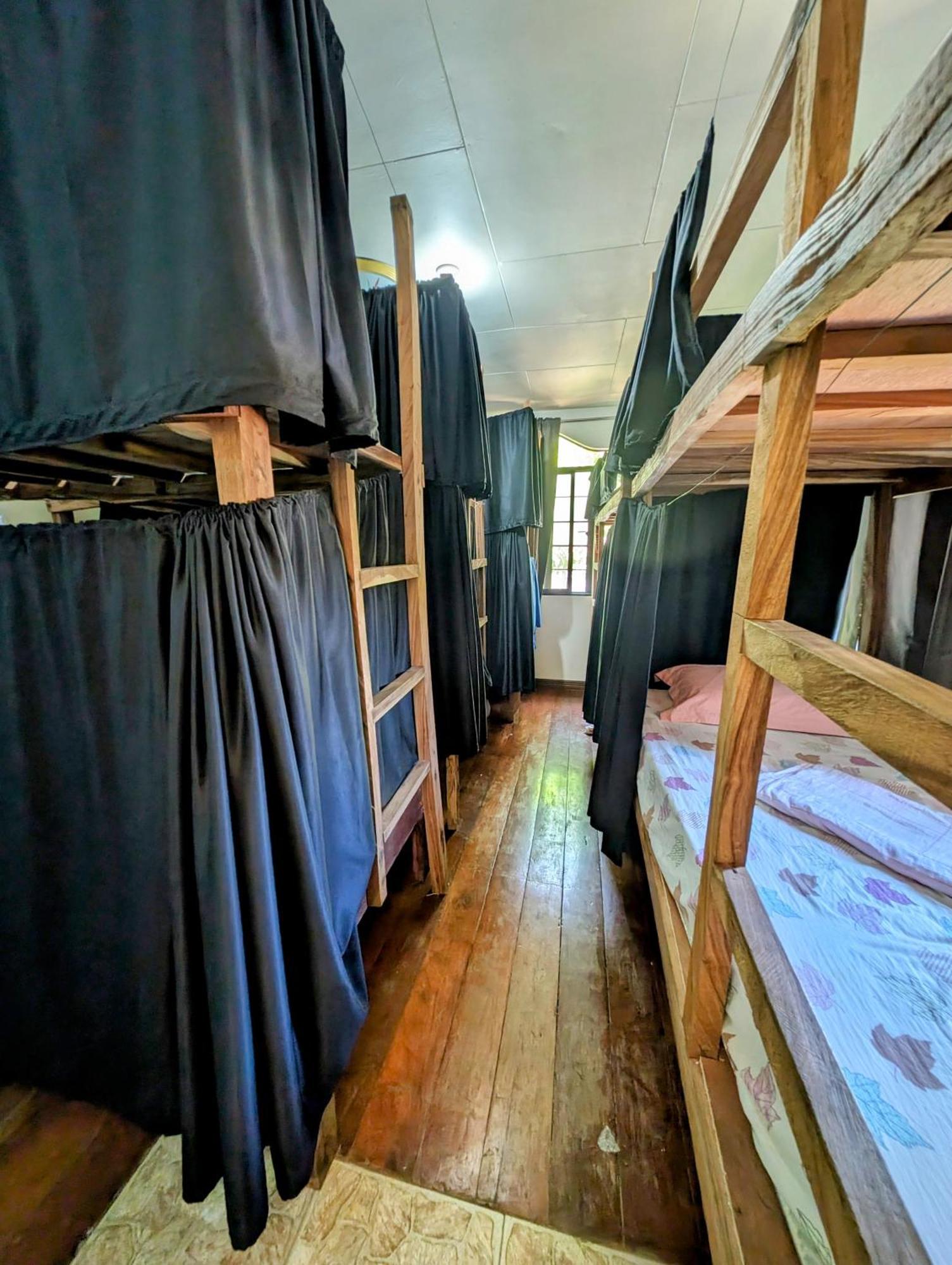 Screaming Gecko Hostel バスアンガ エクステリア 写真